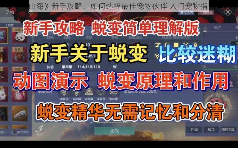 《妄想山海》新手攻略：如何选择最佳宠物伙伴 入门宠物指南详解》