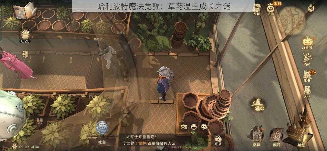 哈利波特魔法觉醒：草药温室成长之谜