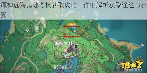 原神远海夷地瑚枝获取攻略：详细解析获取途径与步骤