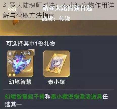 斗罗大陆魂师对决：泰小猿宠物作用详解与获取方法指南