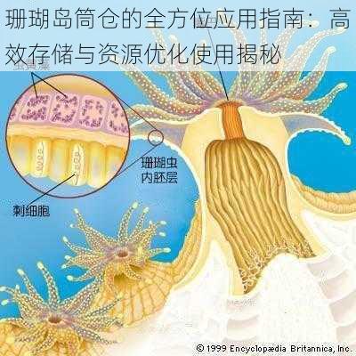 珊瑚岛筒仓的全方位应用指南：高效存储与资源优化使用揭秘