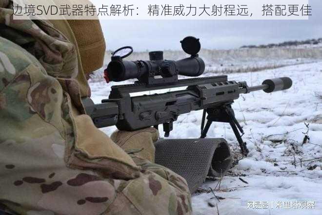 边境SVD武器特点解析：精准威力大射程远，搭配更佳