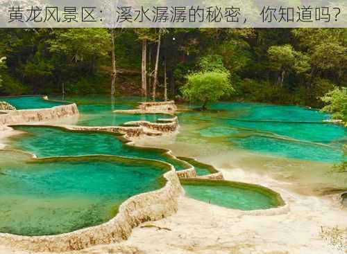 黄龙风景区：溪水潺潺的秘密，你知道吗？