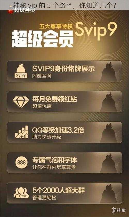 神秘 vip 的 5 个路径，你知道几个？