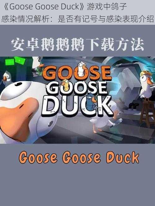 《Goose Goose Duck》游戏中鸽子感染情况解析：是否有记号与感染表现介绍