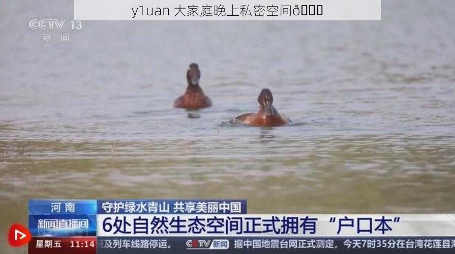 y1uan 大家庭晚上私密空间😏