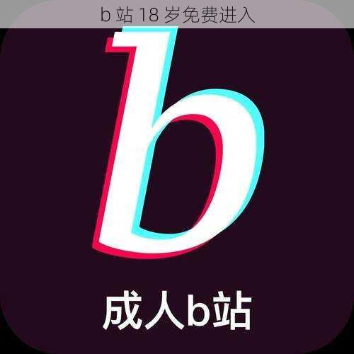 b 站 18 岁免费进入