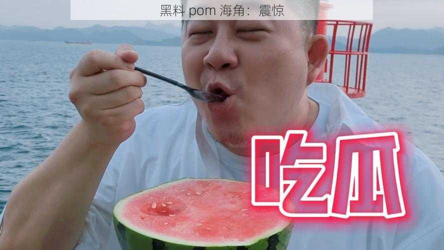 黑料 pom 海角：震惊