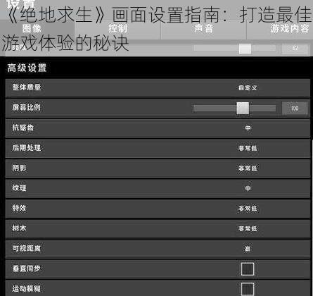 《绝地求生》画面设置指南：打造最佳游戏体验的秘诀