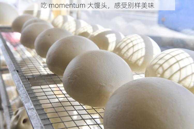 吃 momentum 大馒头，感受别样美味