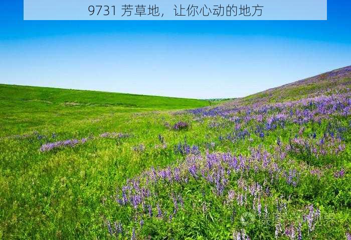 9731 芳草地，让你心动的地方