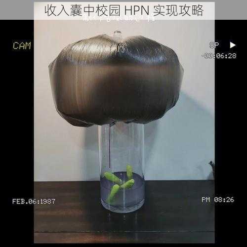 收入囊中校园 HPN 实现攻略