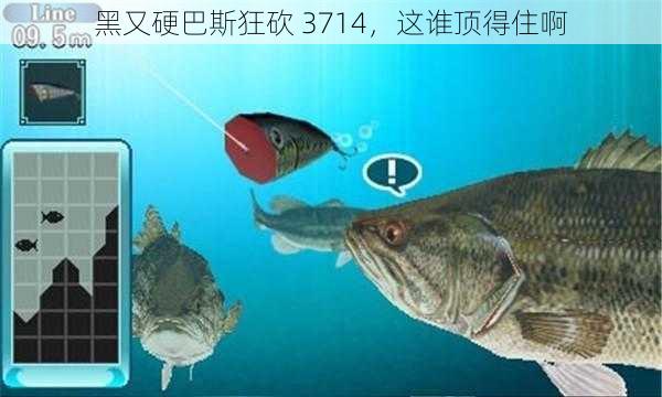 黑又硬巴斯狂砍 3714，这谁顶得住啊