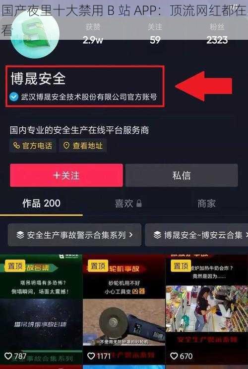 国产夜里十大禁用 B 站 APP：顶流网红都在看