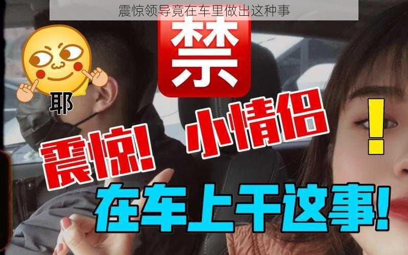 震惊领导竟在车里做出这种事