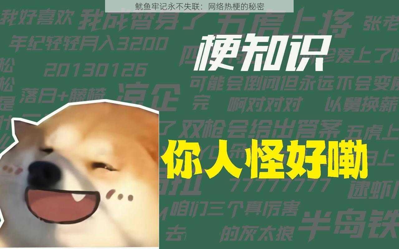 鱿鱼牢记永不失联：网络热梗的秘密