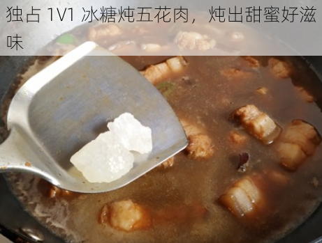 独占 1V1 冰糖炖五花肉，炖出甜蜜好滋味