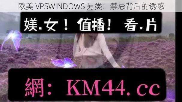 欧美 VPSWINDOWS 另类：禁忌背后的诱惑