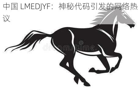 中国 LMEDJYF：神秘代码引发的网络热议