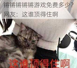 锵锵锵锵锵游戏免费多少？网友：这谁顶得住啊