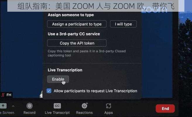 组队指南：美国 ZOOM 人与 ZOOM 欧，带你飞