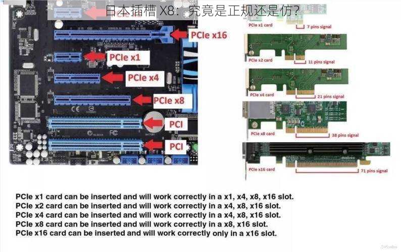 日本插槽 X8：究竟是正规还是仿？