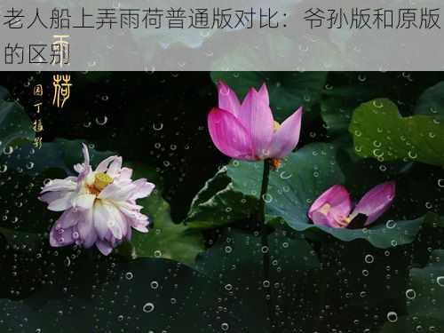 老人船上弄雨荷普通版对比：爷孙版和原版的区别