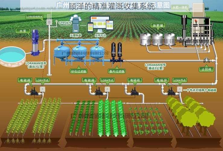 顾泽的精准灌溉收集系统