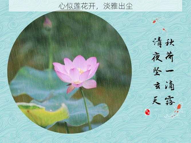 心似莲花开，淡雅出尘