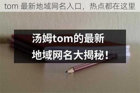 tom 最新地域网名入口，热点都在这里