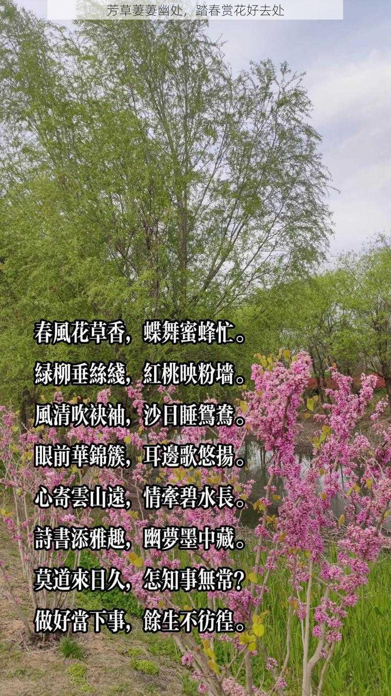 芳草萋萋幽处，踏春赏花好去处