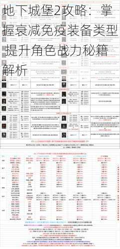 地下城堡2攻略：掌握衰减免疫装备类型 提升角色战力秘籍解析