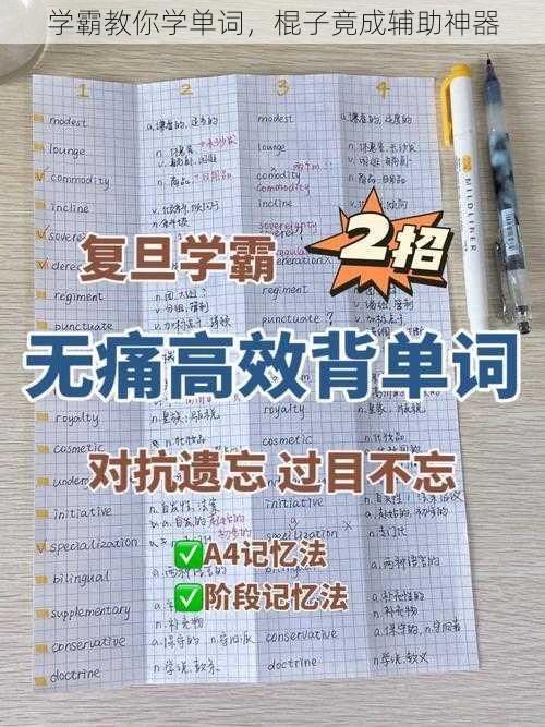 学霸教你学单词，棍子竟成辅助神器