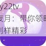 yy22tv 夜月：带你领略别样精彩