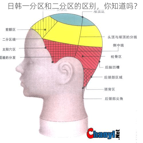 日韩一分区和二分区的区别，你知道吗？