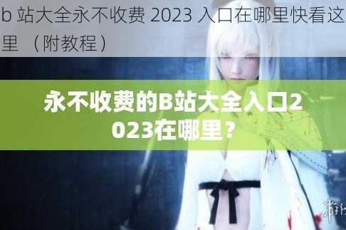 b 站大全永不收费 2023 入口在哪里快看这里 （附教程）