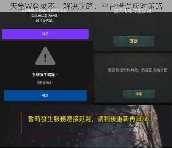 天堂W登录不上解决攻略：平台错误应对策略