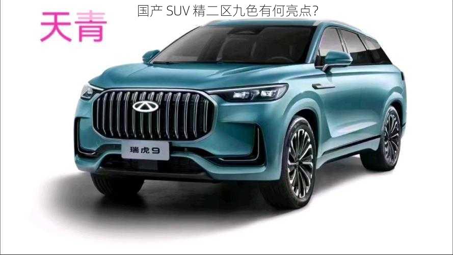 国产 SUV 精二区九色有何亮点？