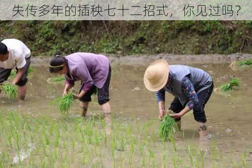 失传多年的插秧七十二招式，你见过吗？