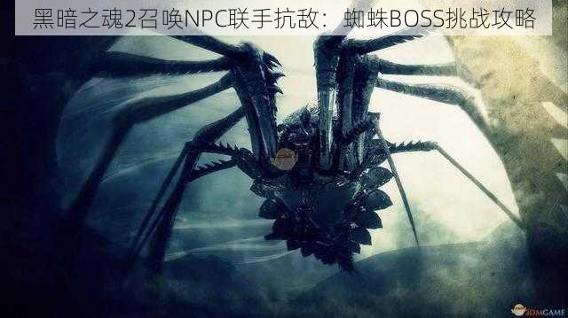 黑暗之魂2召唤NPC联手抗敌：蜘蛛BOSS挑战攻略