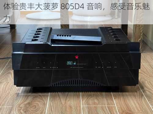 体验贵丰大菠萝 805D4 音响，感受音乐魅力