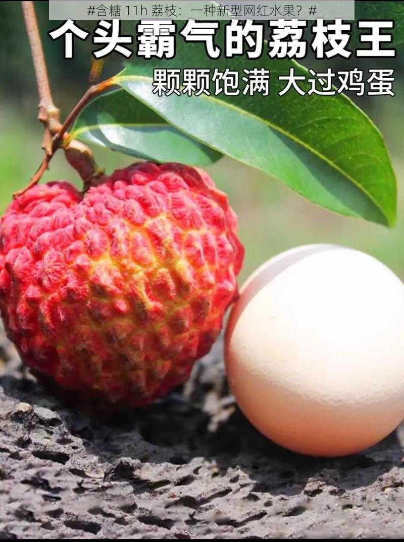 #含糖 11h 荔枝：一种新型网红水果？#